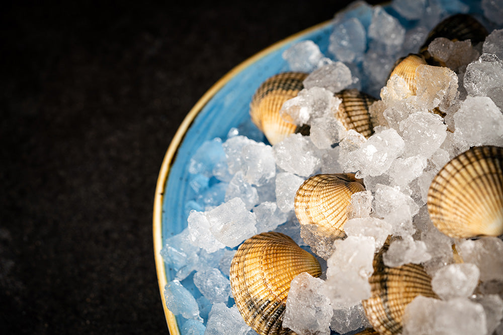 Ghiaccio nugget Hoshizaki