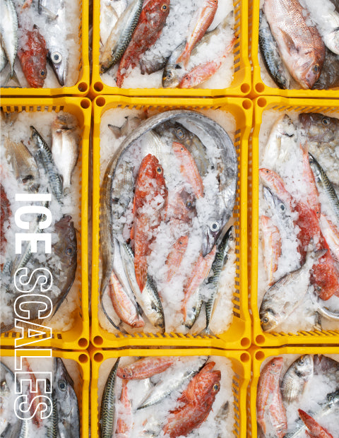 M800 SPLIT Produttore di ghiaccio modulare - Sistema a scaglie sottoraffreddate Brema - Condensazione esterna remota